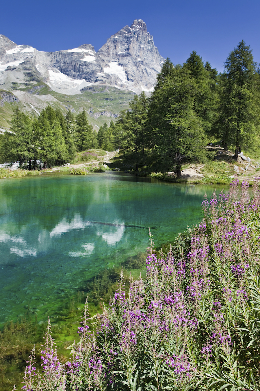 Lake Bleu and the south face of Matterhorn. Sunny summer day. Valle d'Aosta, Italy.